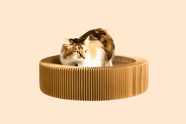 Corrugated Cat Scratcher